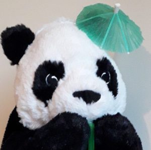 Superpandafood - glutenvrije en lactosevrije recepten - tips uit de Traditionele Chinese geneeskunde