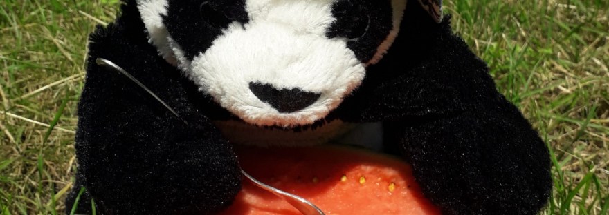 TCM-tips tijdens hittegolf