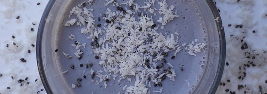 kokospudding met blauwe bessen en chiazaad - recept