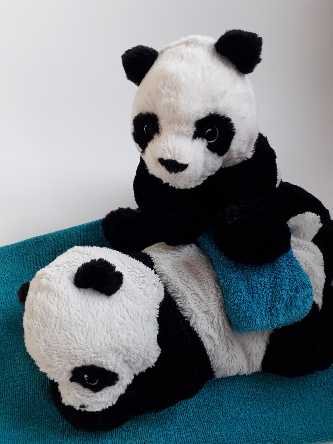 Ontgift je bijnieren met gemberkompressen