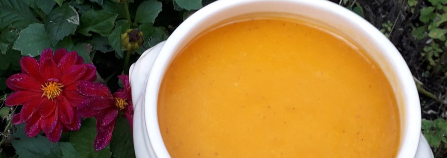 5-elementen pompoensoep met gember en zeewier - Glutenvrij en lactosevrij - Superpandafood-