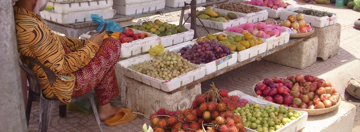 5-elementen overzicht - yin yang voeding