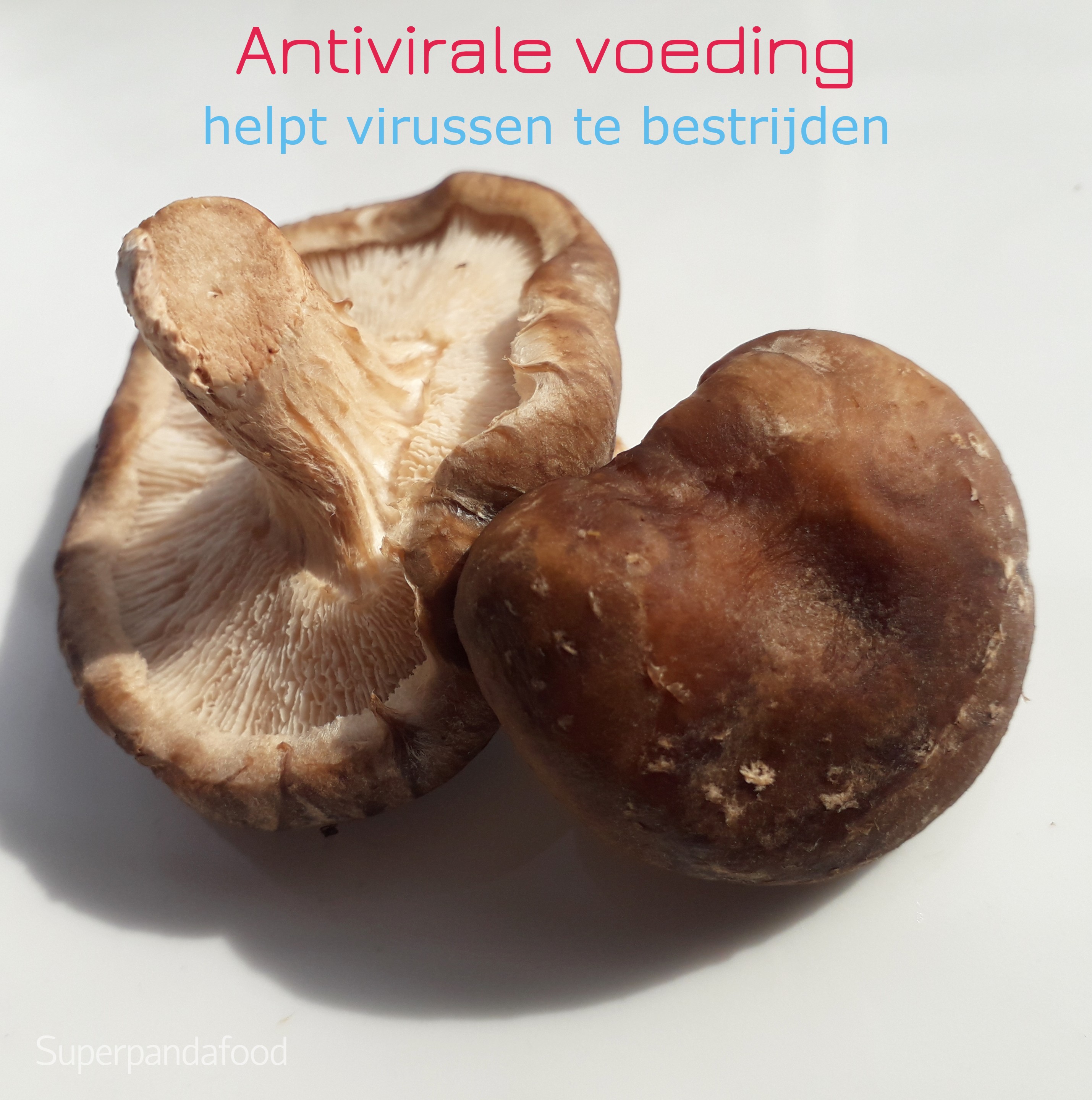 Antivirale voeding helpt om virussen te bestrijden - Shiitake