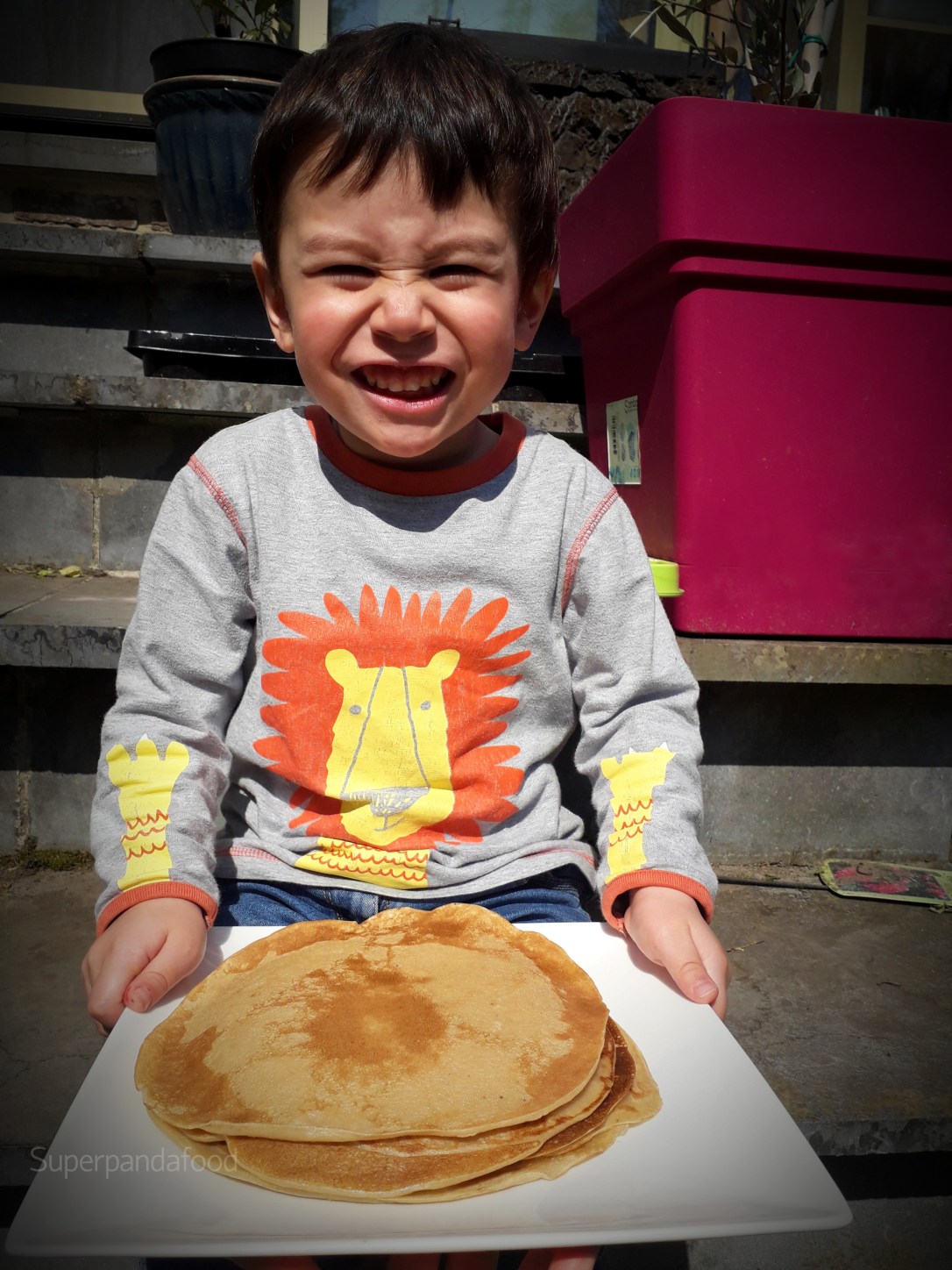Spelt-bananenpannenkoeken zonder ei –&nbsp;Veganistisch