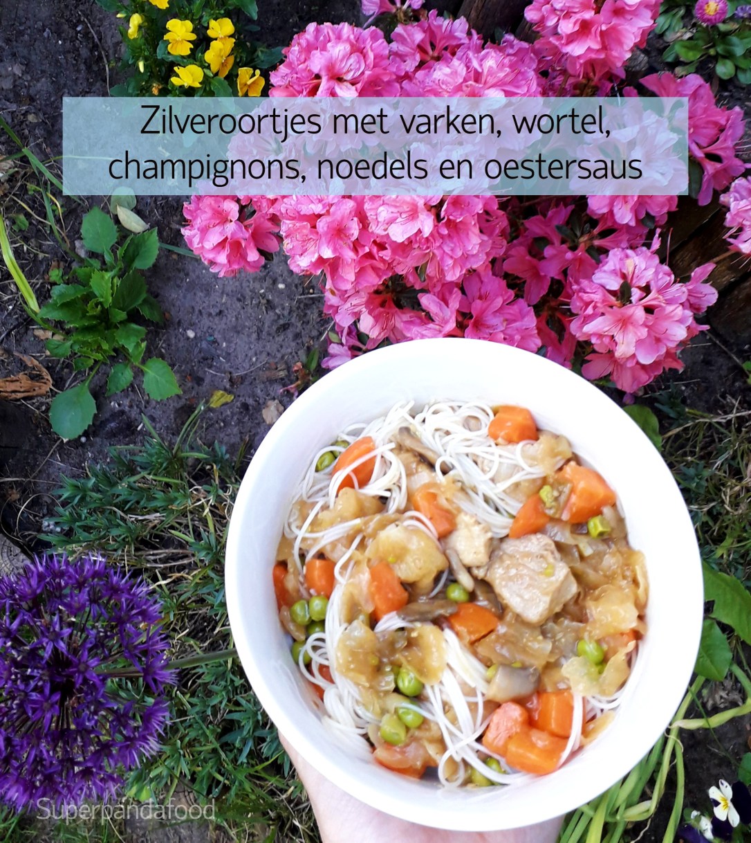 Zilveroortjes met varken, wortel, champignons, noedels en oestersaus | 5-elementen-recept