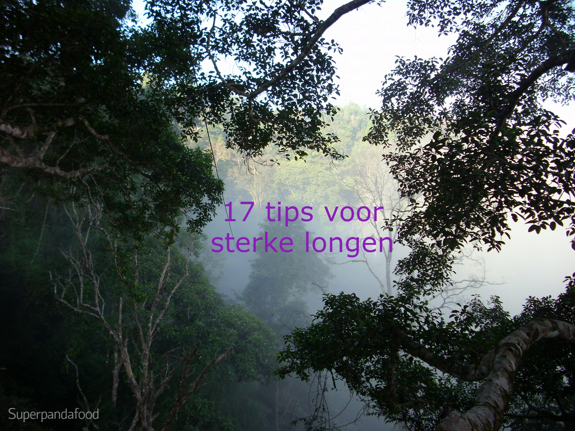 17 tips voor sterke longen | TCM