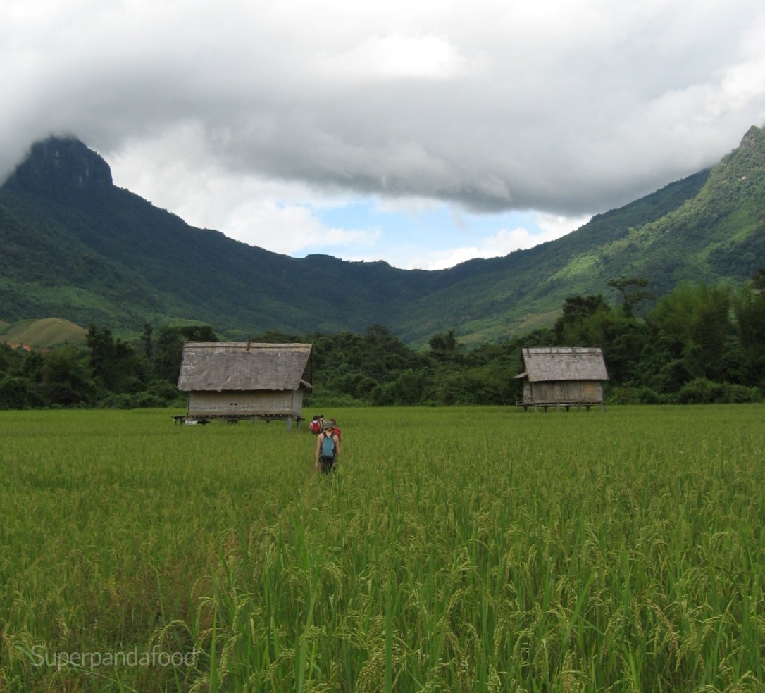 Wat is de Traditionele Chinese geneeskunde (TCM)?