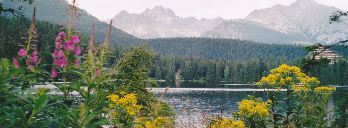koude milt versterken met Traditionele Chinese geneeskunde
