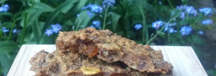 Energierepen met adukibonen, pindakaas, pitten en gedroogd fruit