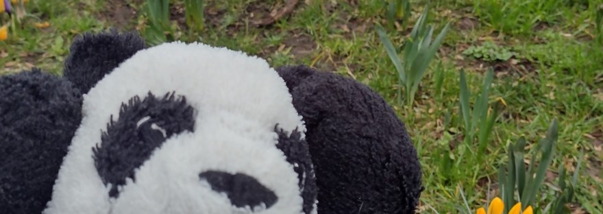 Daar is de lente, daar is de hoofdpijn - TCM-tips