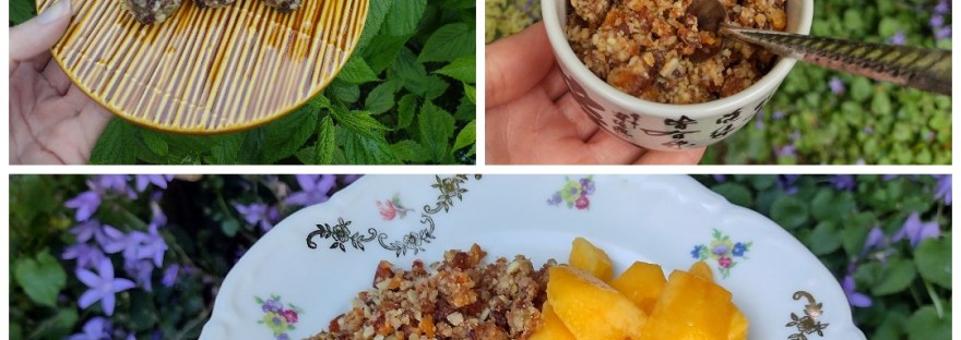 Raw energiebom als ontbijt of snack, glutenvrij