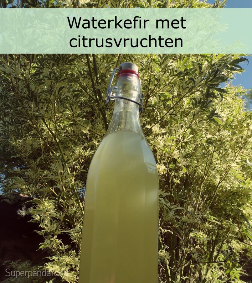 Waterkefir met citrusvruchten