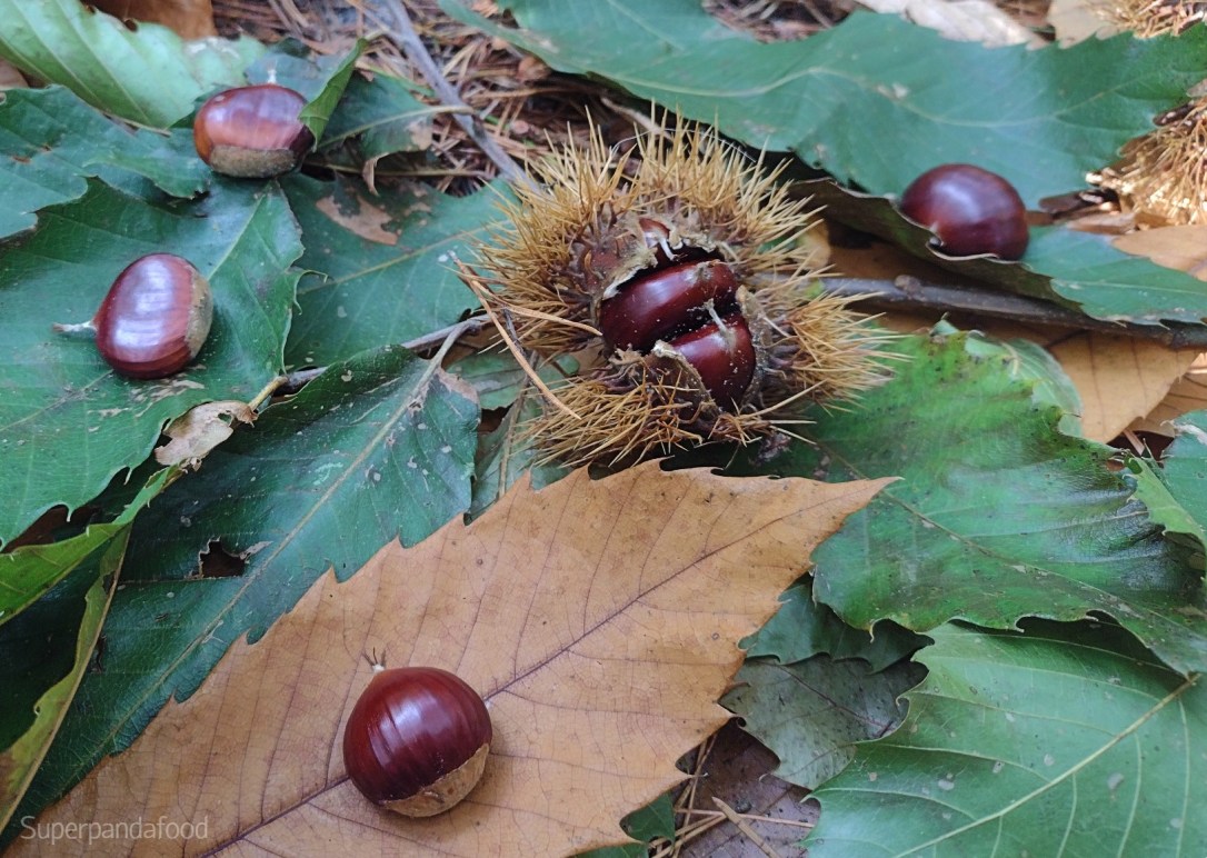 Kastanjes koken zonder kruis te snijden