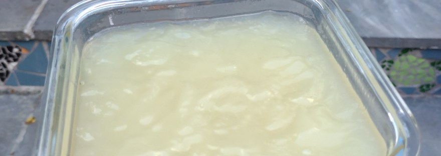 Bottenbouillon kipkarkassen snelkookpan